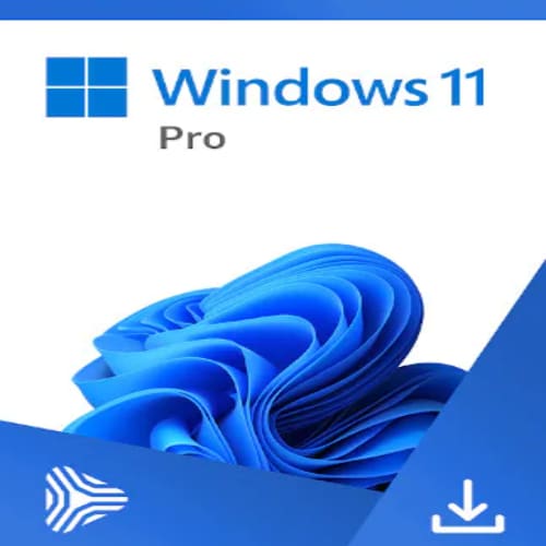 Windows 11 Professional Download Version 1 PC